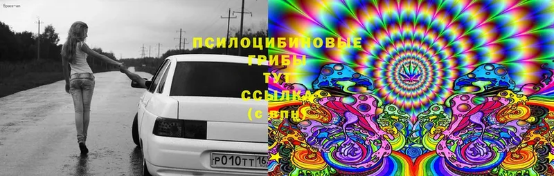 shop состав  omg ссылка  Болотное  Псилоцибиновые грибы Psilocybine cubensis 